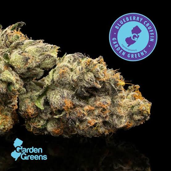 Garden Greens Big Buds | Jersey Runtz | 7g (Hybrid)