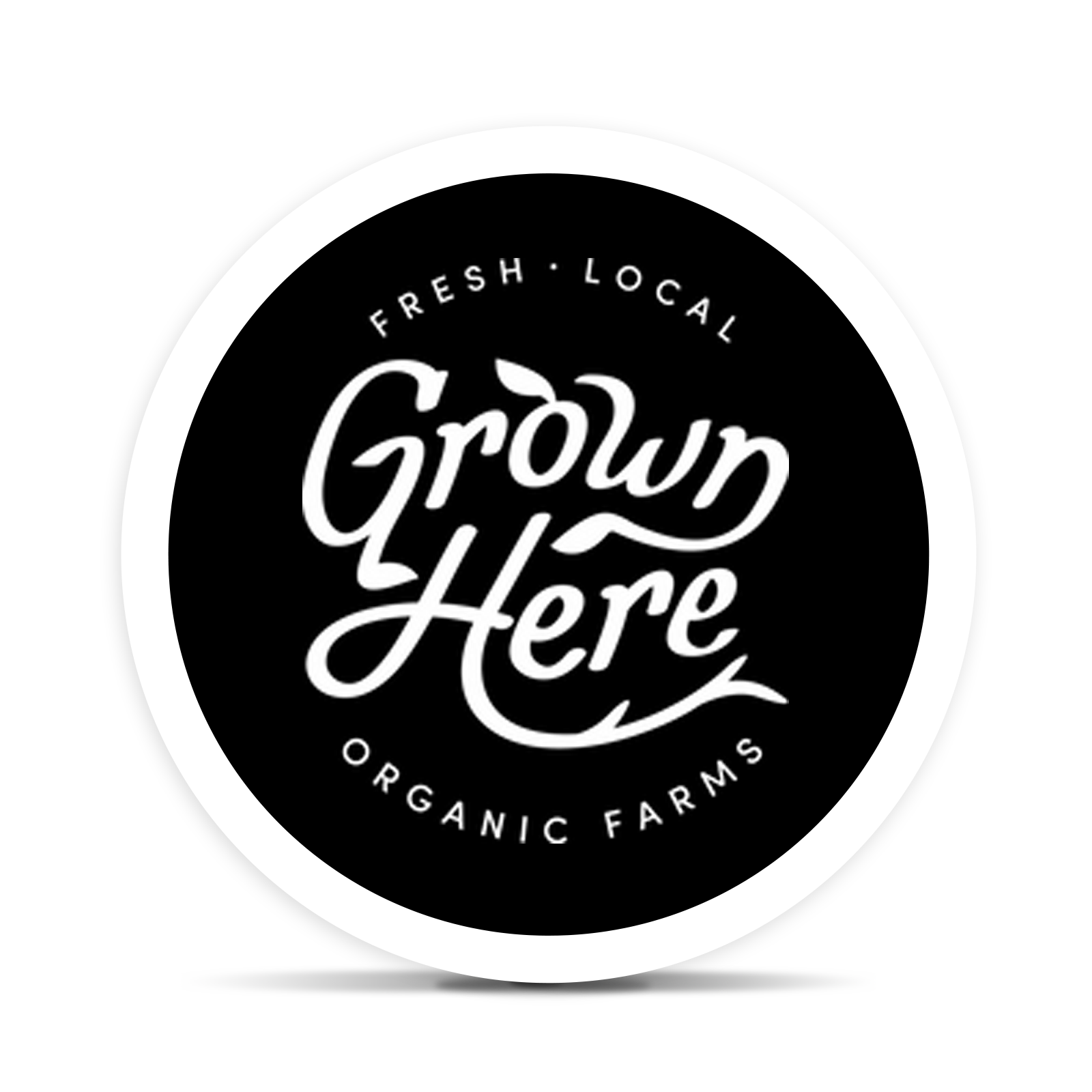 Day Dreamin Cbd Infused