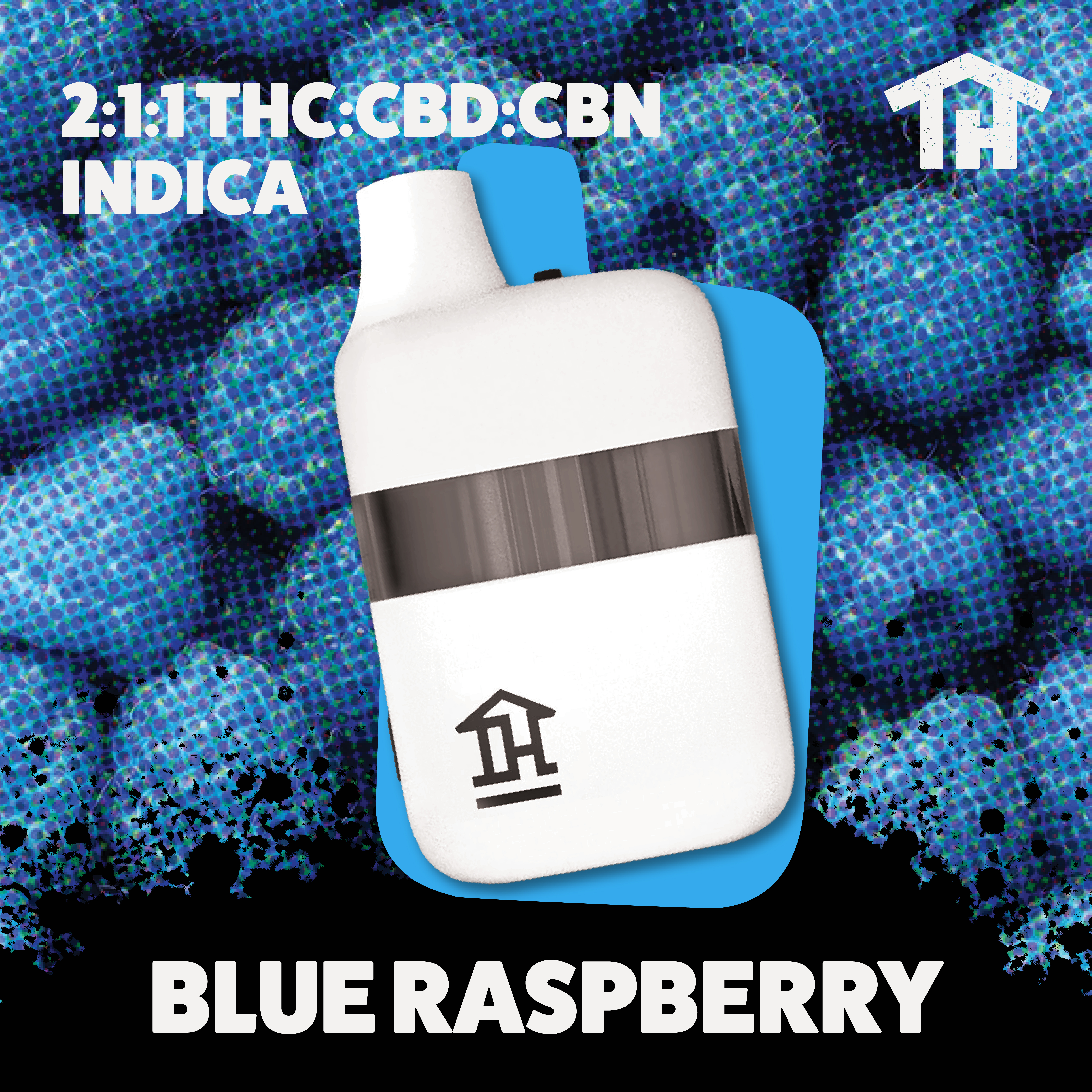 In House: Blue Raspberry 2:1:1 Disposable - 0.5g