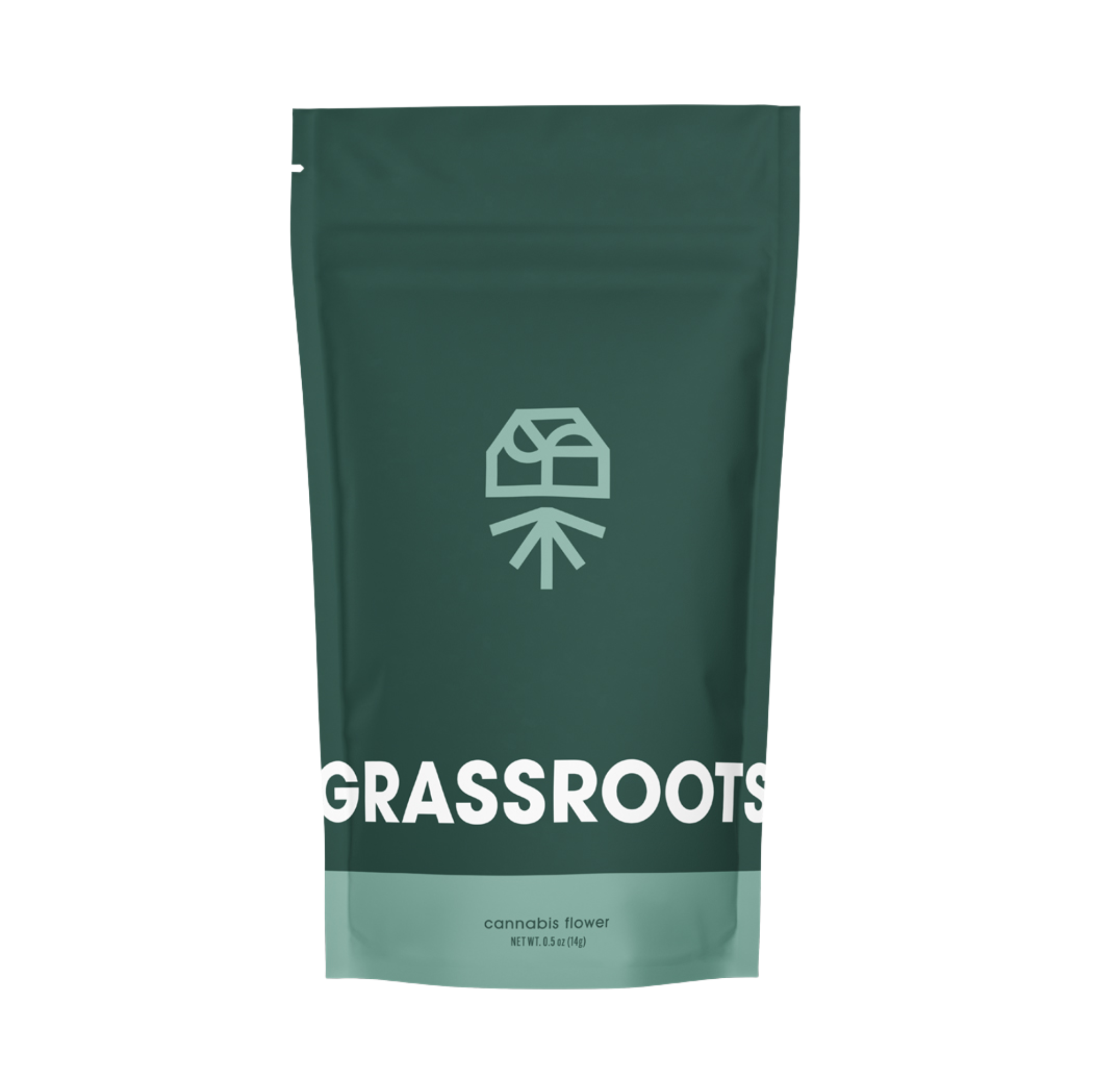 Grassroots Blue Lobster