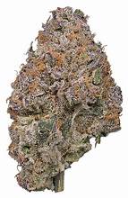 Permanent Marker Flower