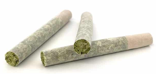 Pre Roll - (H) - Rainbow Sherbert