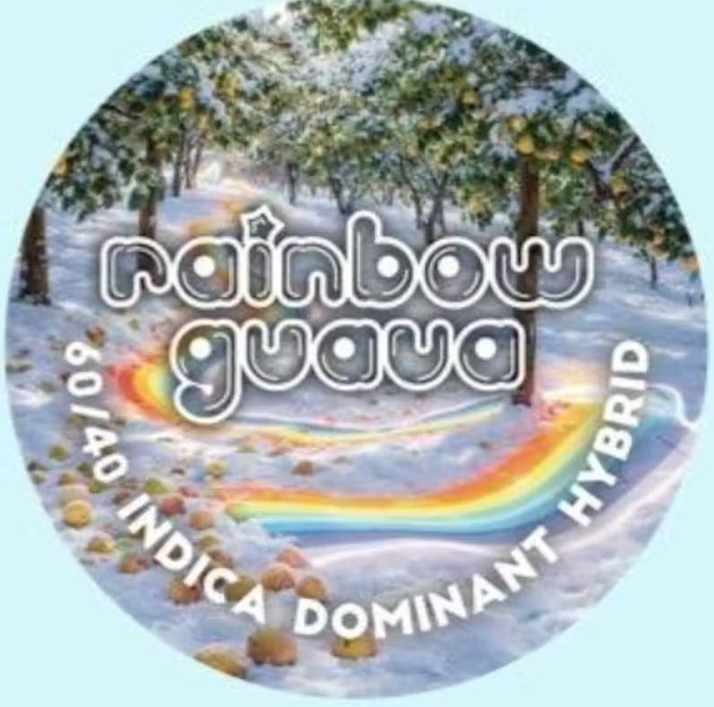 Team Elite Genetics: Jar - Rainbow Guava