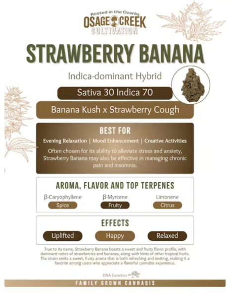 Strawberry Banana Popcorn Flower