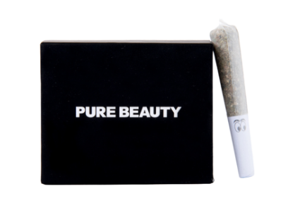Pure Beauty Babies 10pk Black Box Hybrid