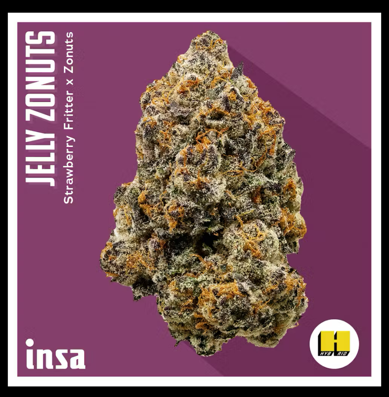 Jelly Zonuts Hybrid Flower | 28g | Insa
