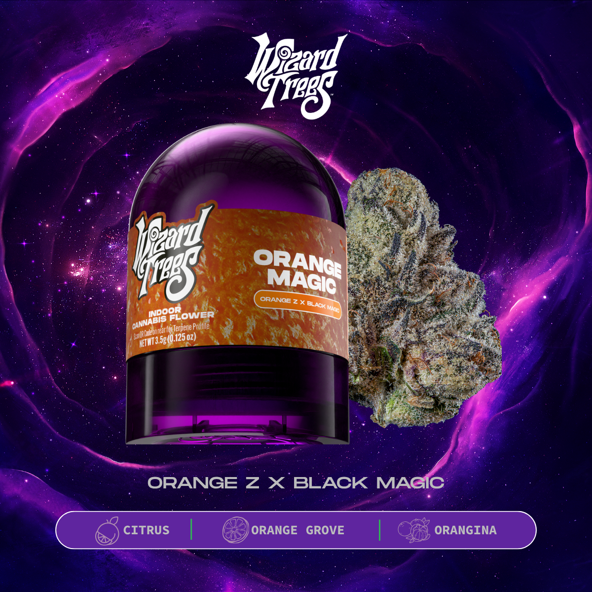 Wizard Trees Orange Magic
