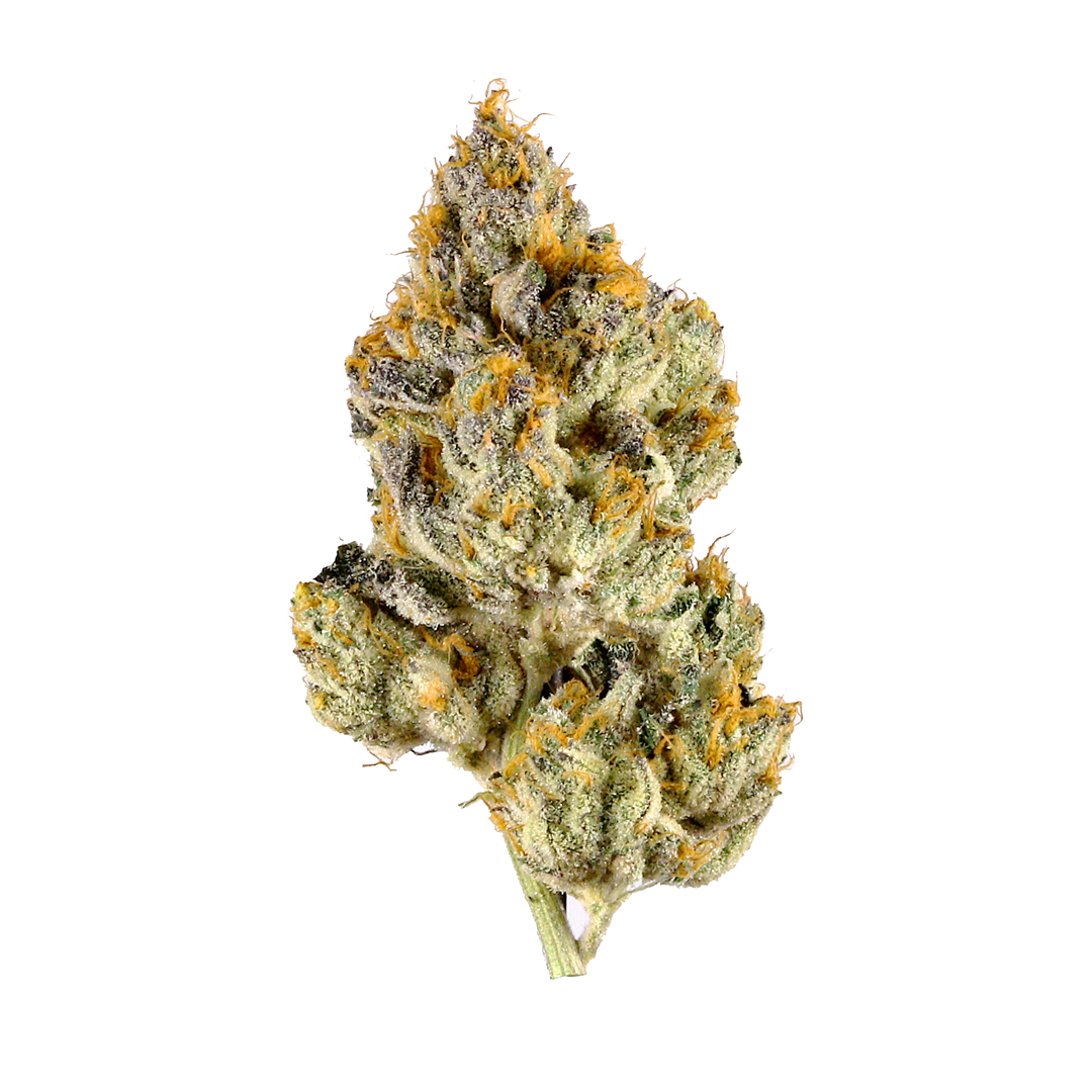 Pollo Tropical (H) | Flower | 3.5g