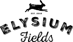 Elysium Fields: Bruce Banner