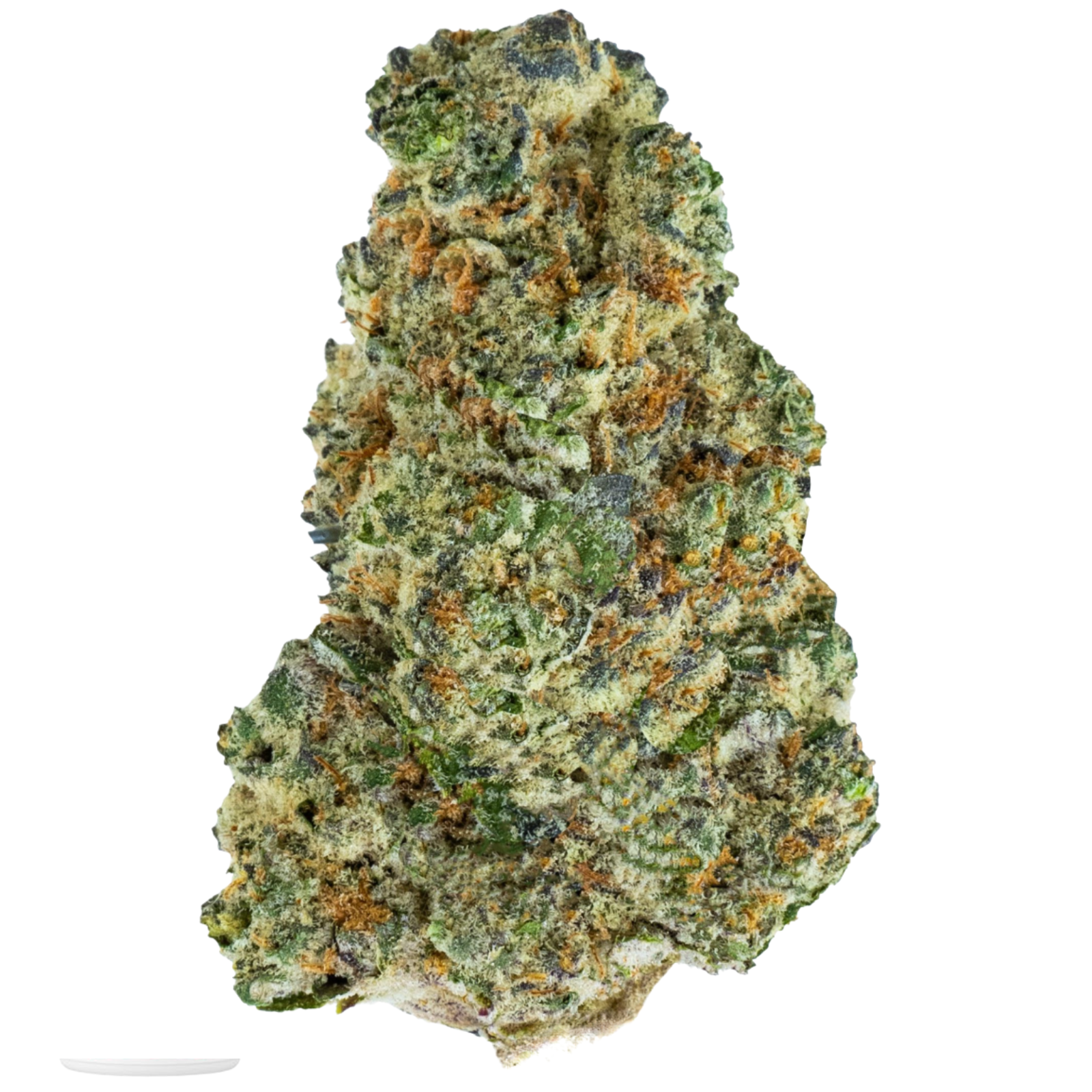 Big White (The White x Big Bud) | 28g