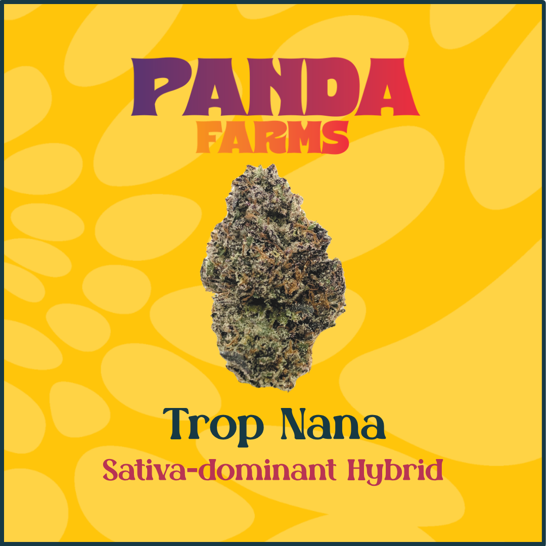 Panda Farms | Flower | Trop Nana | 3.5g