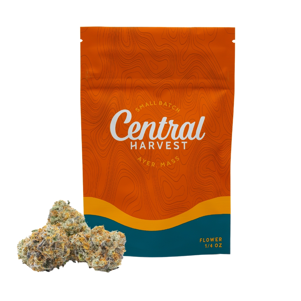 Don Carlos | 7g