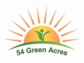 54 green acres: Blueberry Cheesecake - 54 Green Acres - Green