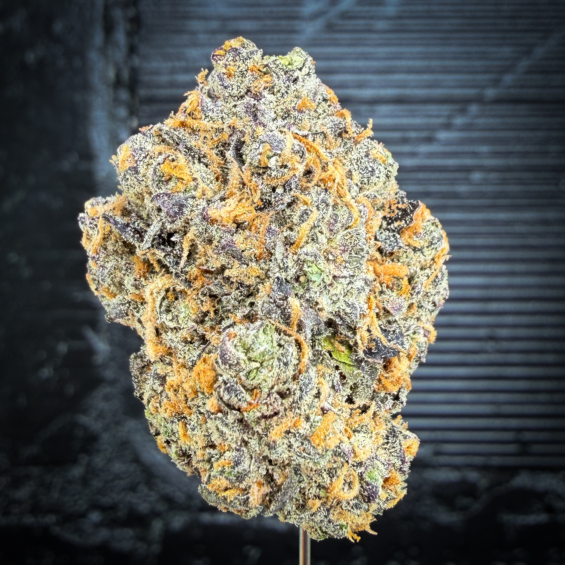 Vanilla Berry Pie