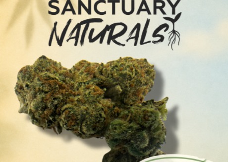 Sanctuary Naturals | Grapefruit Punch | 3.5g