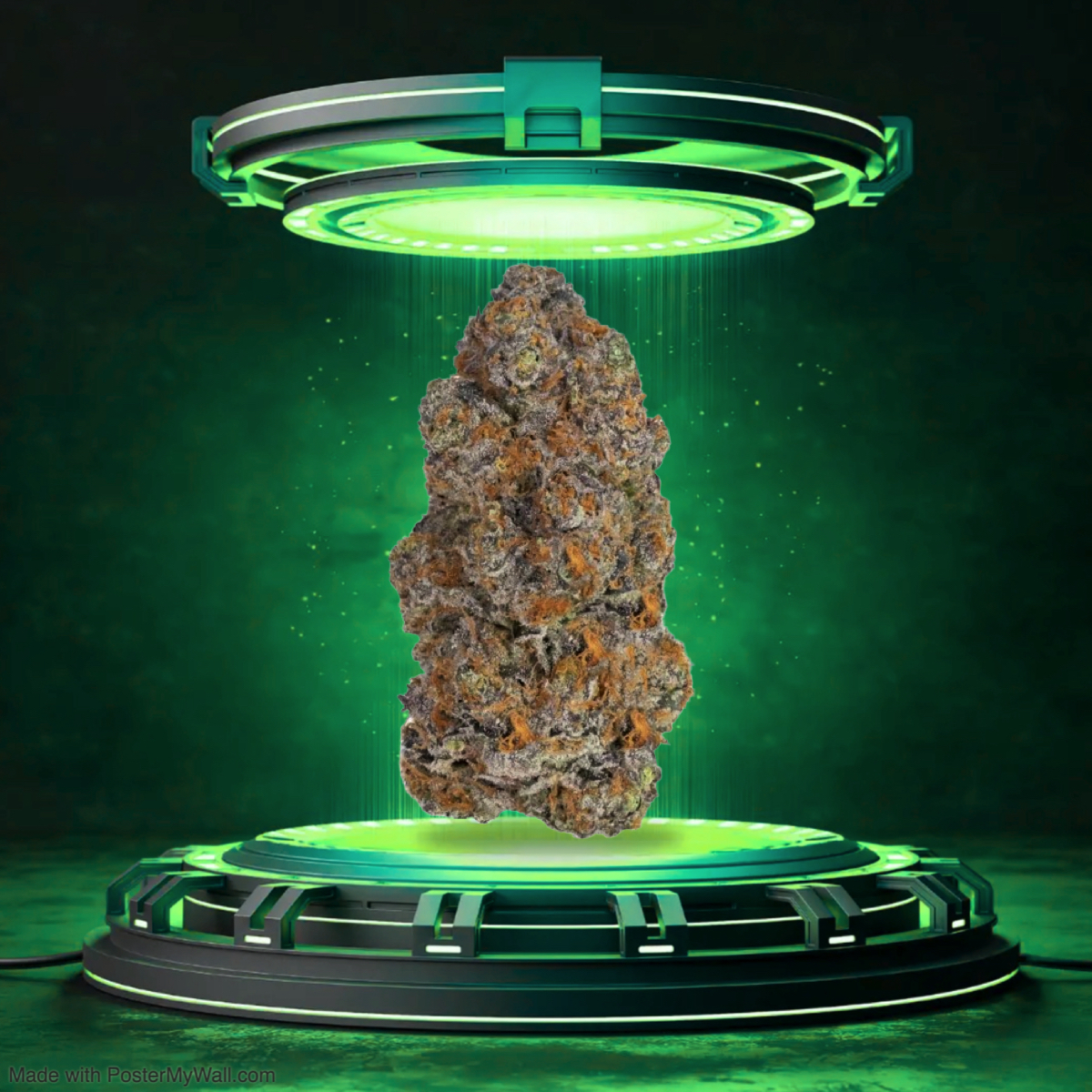 Grape Biscotti - Flower