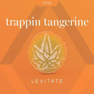 Levitate Slugger Trappin Tangerine 200mg