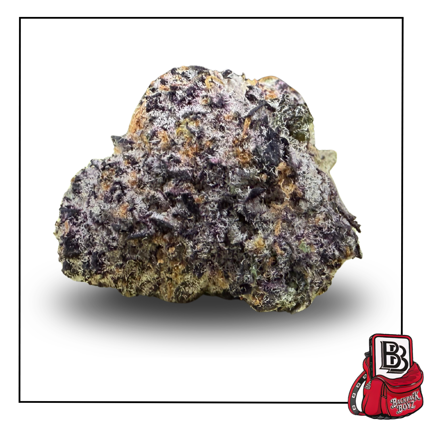 Black Amber - Bulk Flower