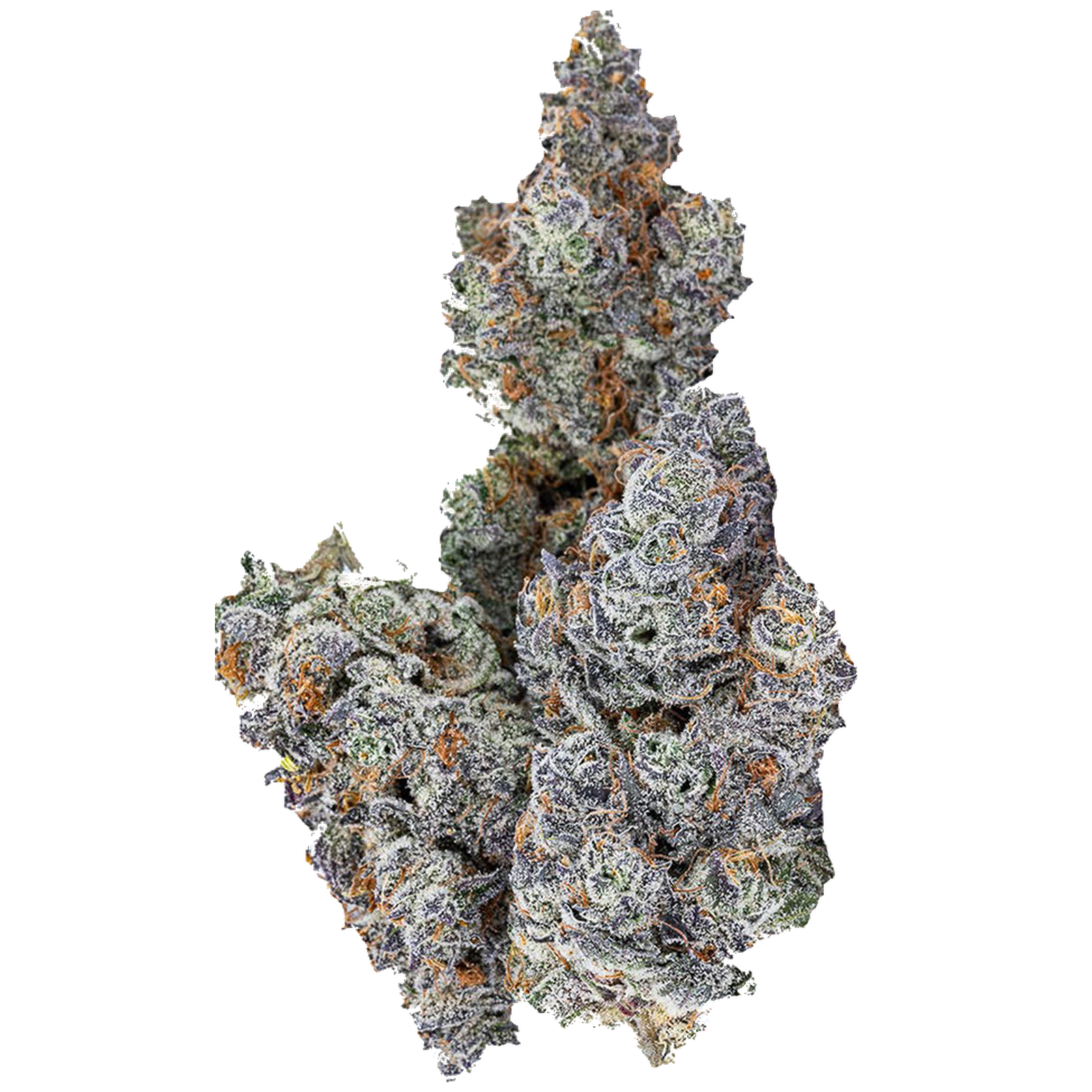 67 Artisan Reserve (Chauffer x Runtz x Shady Apples)  | 14g