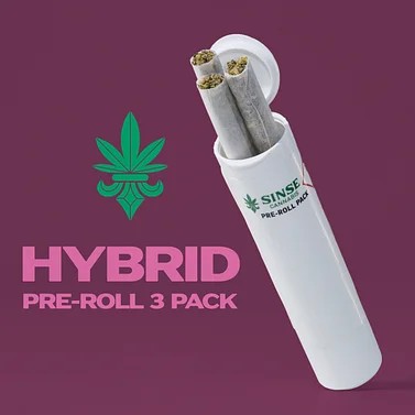 SINSE PRE-ROLL PACK JUNGLE COOKIE (H) [3PK] .5G