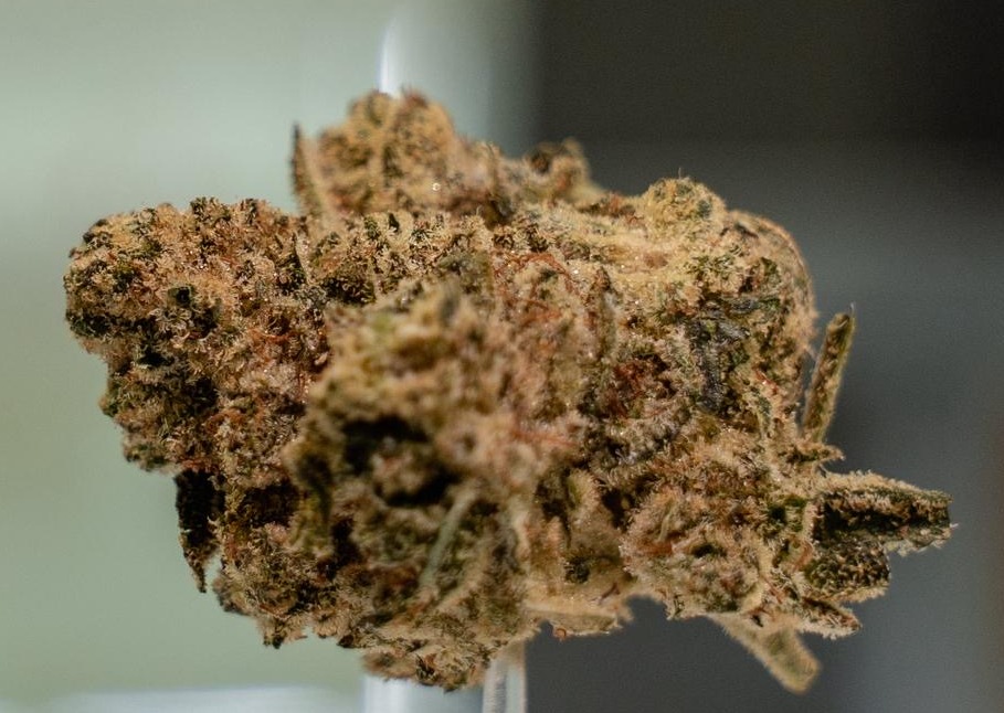 Apple Fritter