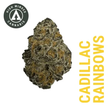 Diamond Tier Tag - Cadillac Rainbows #7