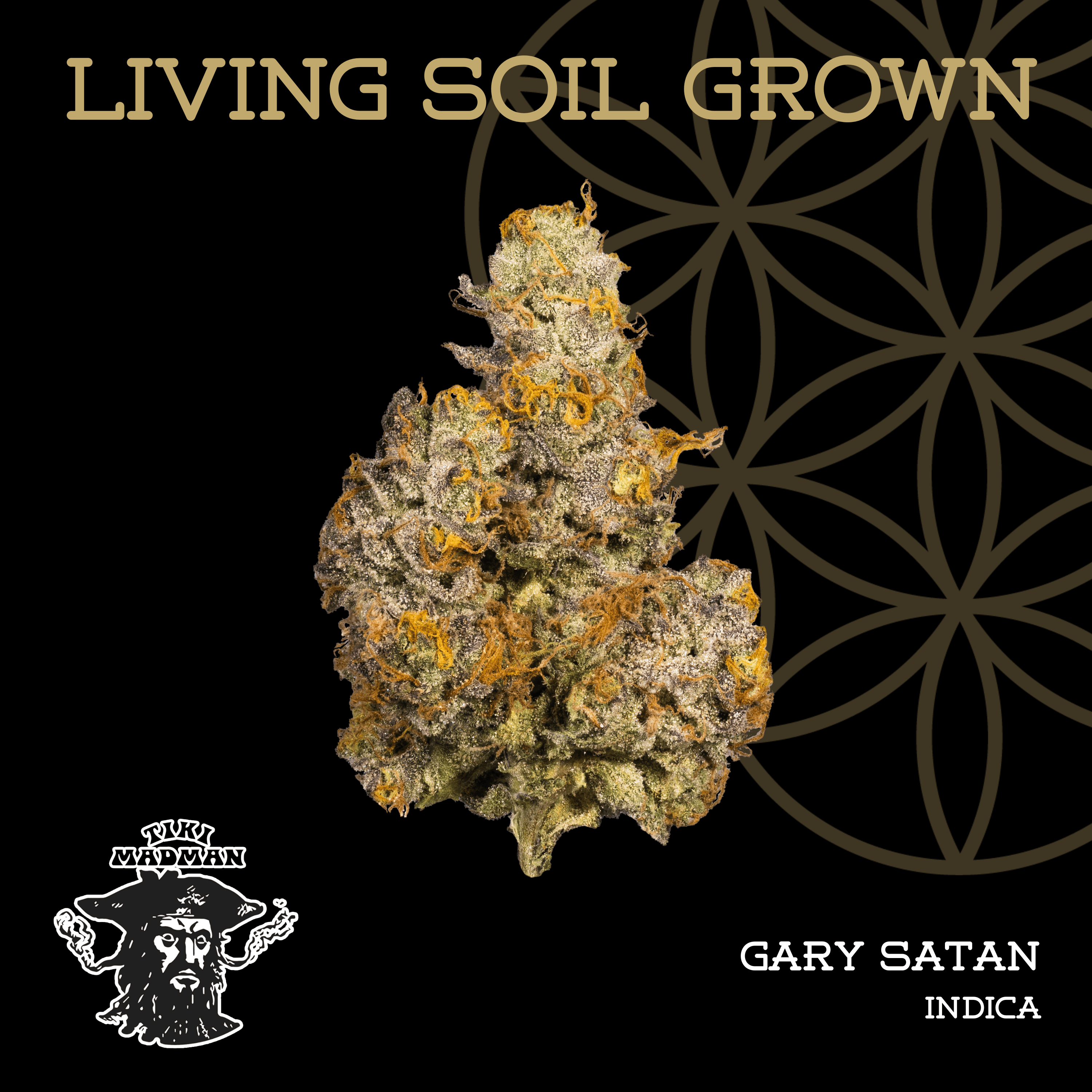 Living Soil | Gary Satan | Bulk Deli