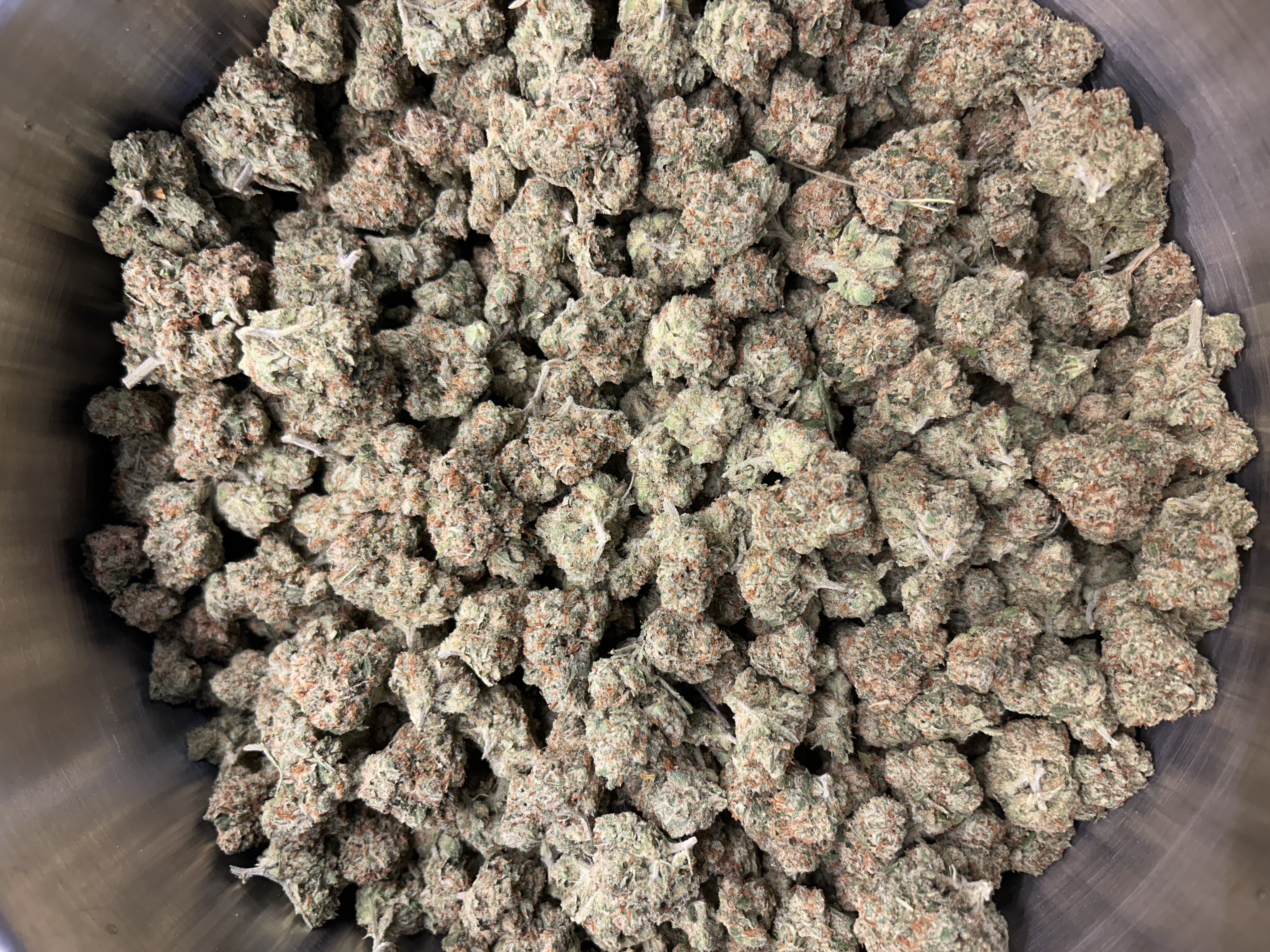 Aura | Haileys Comet | Buds | 2.4% Terps (1g) product photo