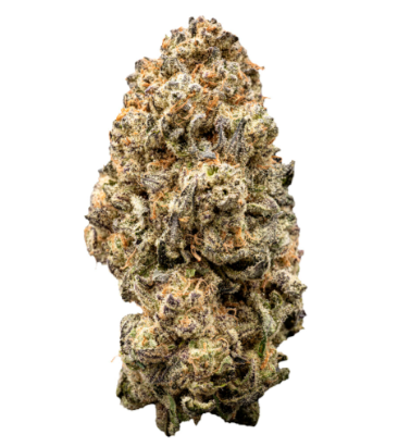 Orange Slushie | 7G