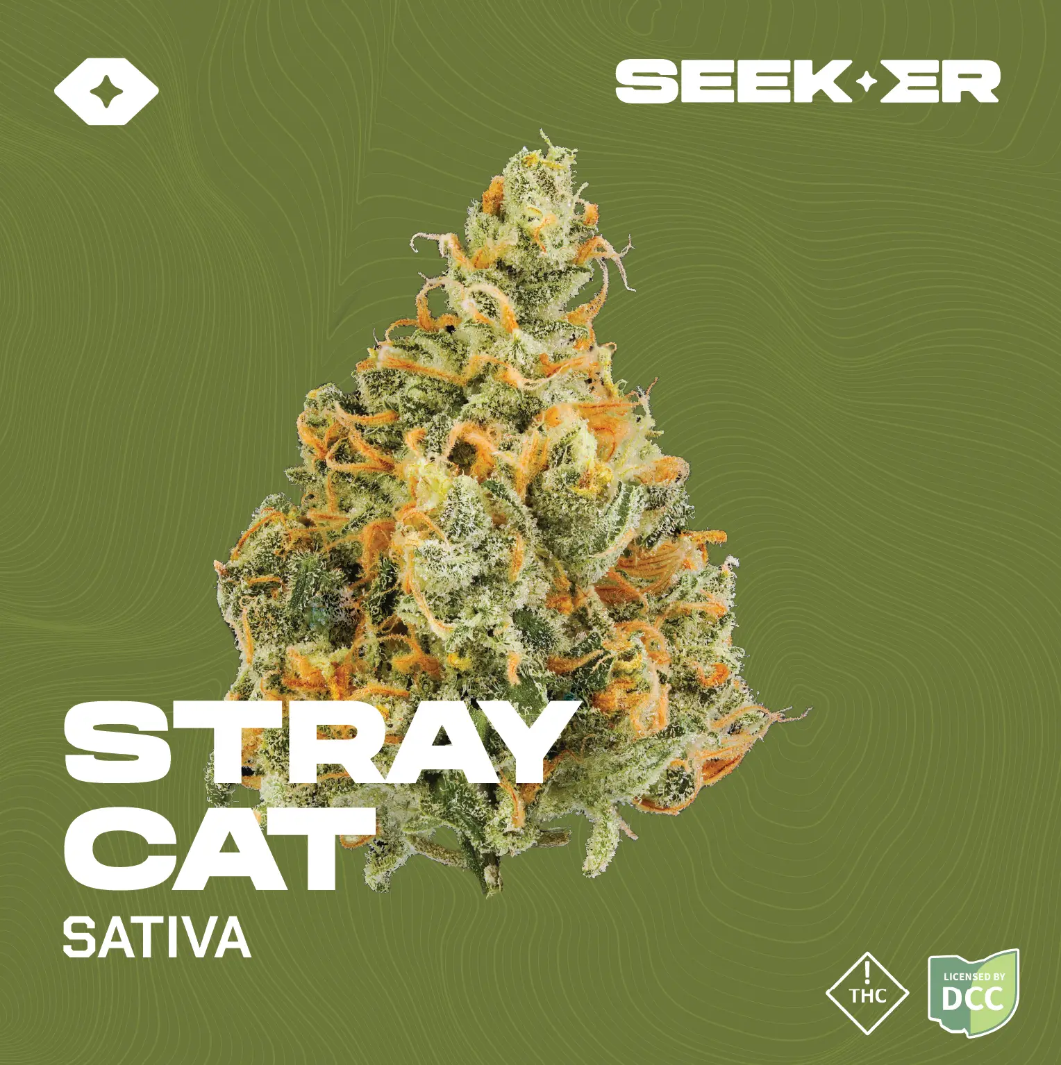 Stray Cat 2.83g