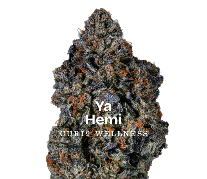 CURIO EVERYDAY Yahemi 3.5g