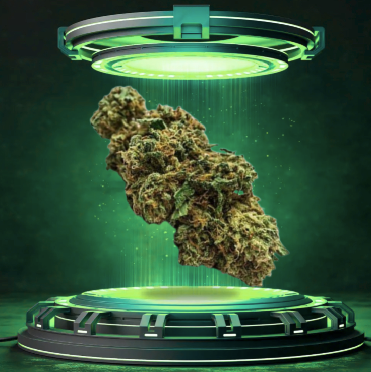 Hella Jelly - Flower