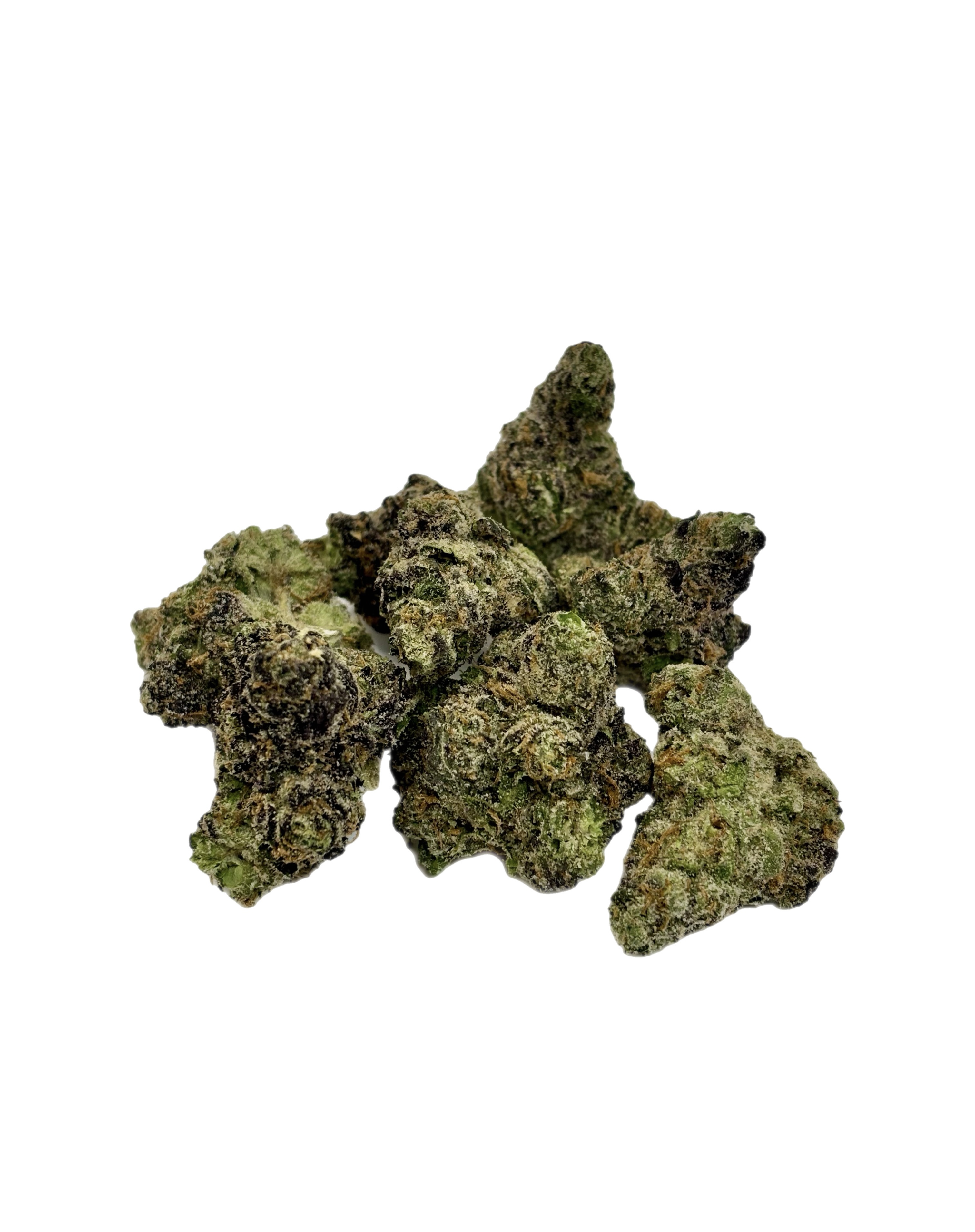 Biscotti Cream Pie | Bulk Flower | Yellow Tier