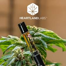CARTRIDGE BLUEBERRRY KUSH (I/H) 1G