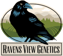 Ravens View Genetics