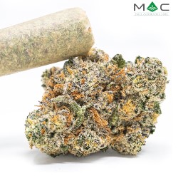 Fluffhead Pre-Roll | 1g