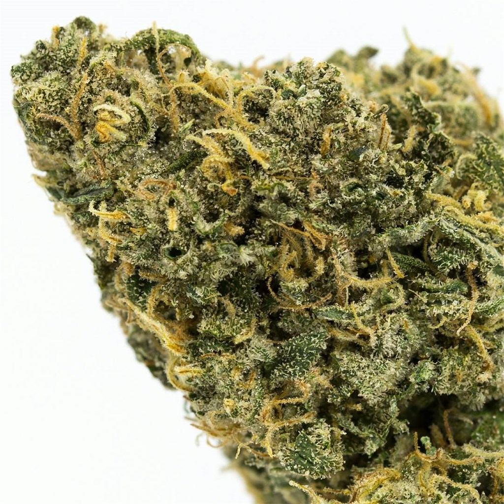 Untitled | Durban Poison (S) | Flower | 7g