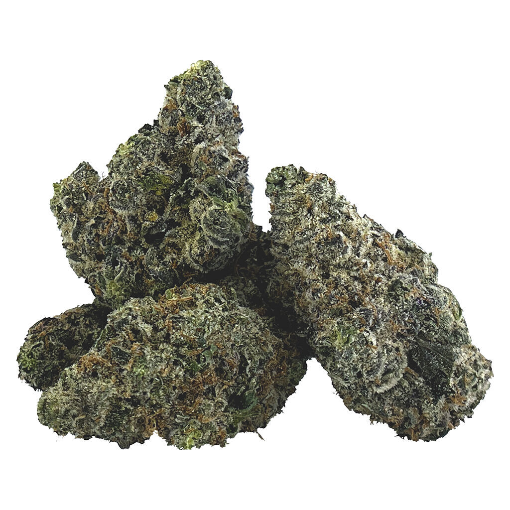 BC 1/4 - Gravity - Indica ( HashPlant x NL1 ) 2.26% TERPS!!