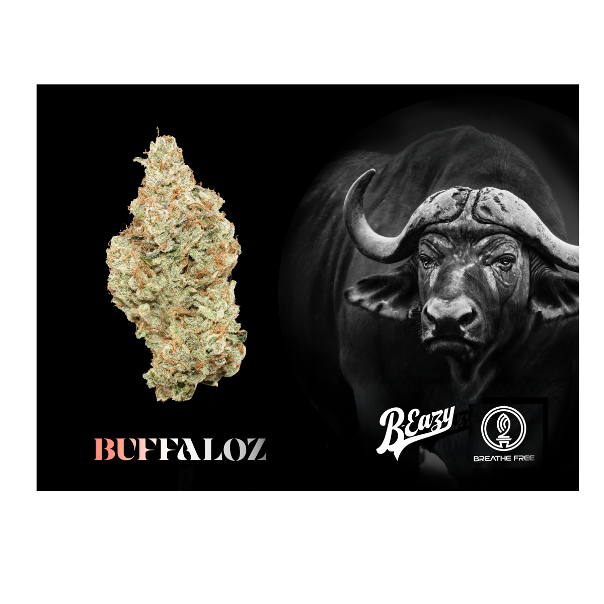Buffaloz