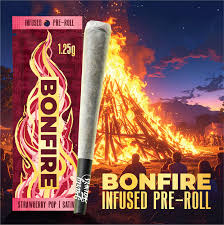 Party Favors | Bonfire 1.25g infused pre roll- Strawberry Pop