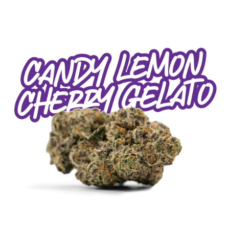 FADE CO. Candy Lemon Cherry Gelato Small Buds 5g