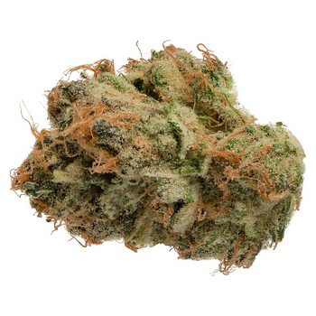 059 - Jonny Chronic - Tropicanna