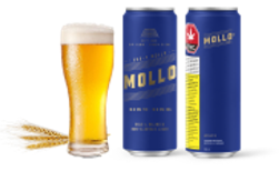 MOLLO 10 (H) BEV - 10MG THC : 10MG CBG X 355ML