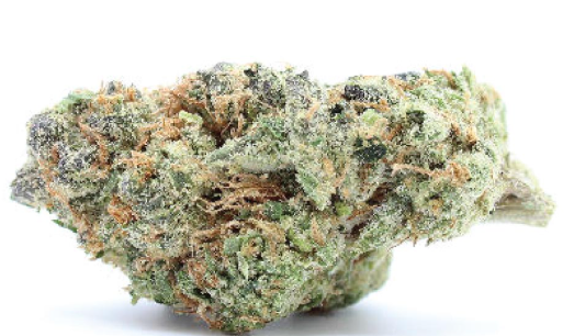 (63880) 14g Animal Cookies