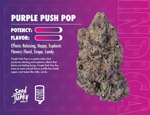 Smalls - Purple Push Pop - (H)