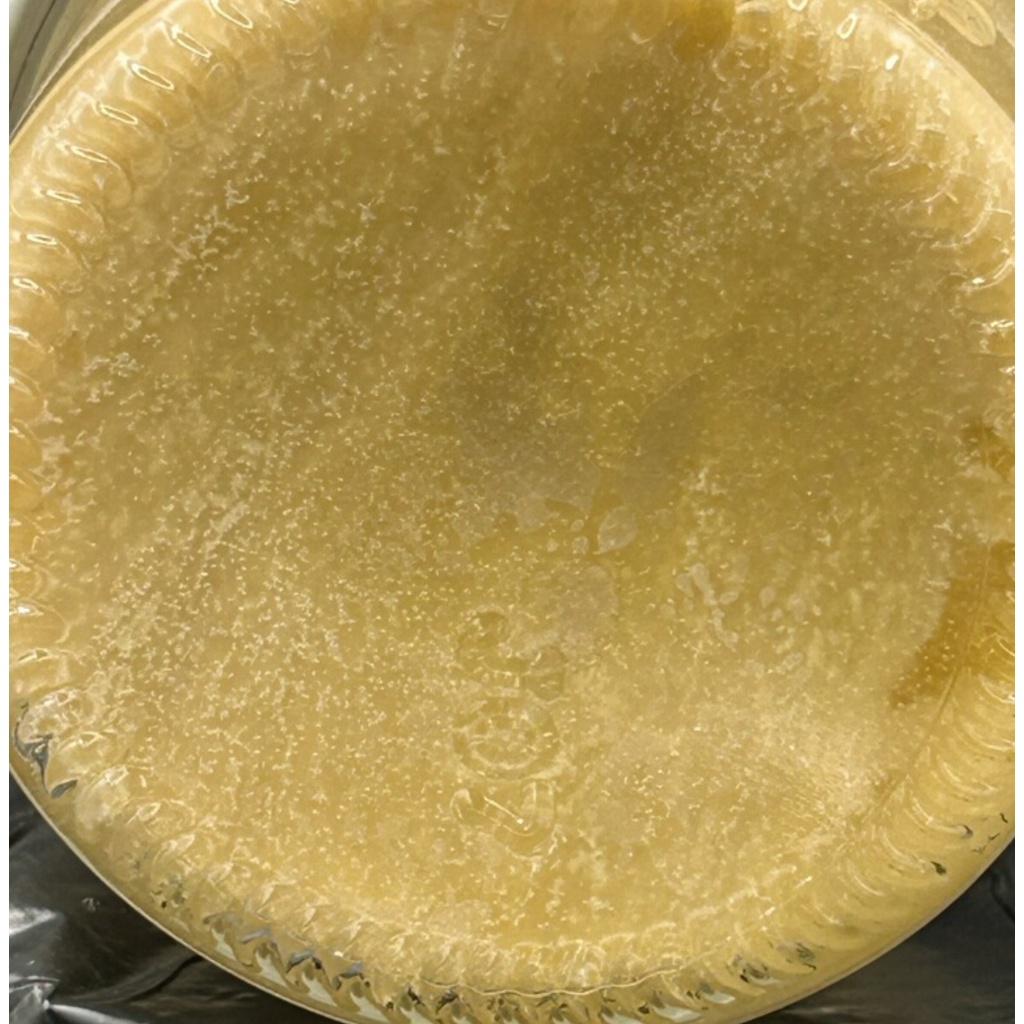 Platinum Life Breath | Live Rosin | 1g