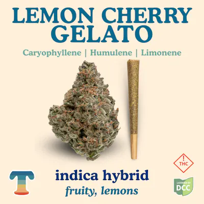 Lemon Cherry Gelato 1G Preroll - Hybrid