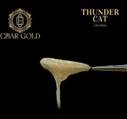 Thunder Cat Live Resin | 1g