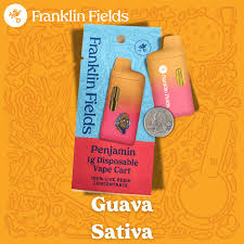 Franklin Fields Penjamin Guava Live Resin Disposable 1g