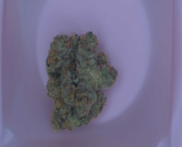 Borneo Bud | 3.5g | Pave